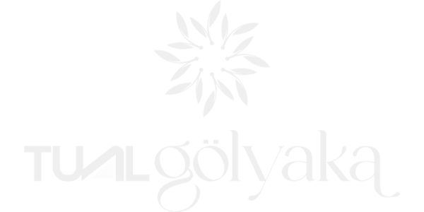 Referans görseli 04